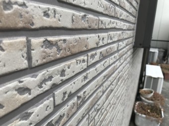 IMG_2200-columns2