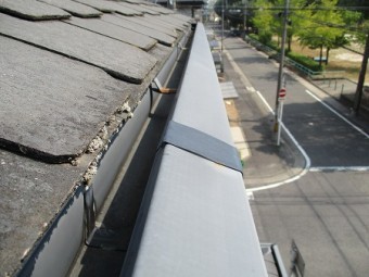 雨樋点検