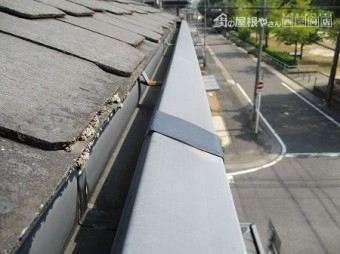 雨樋点検