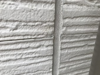 IMG_2954-columns2-overlay