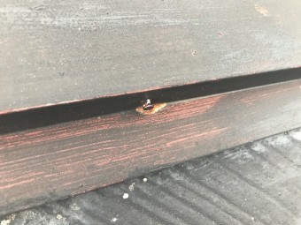 棟板金新設