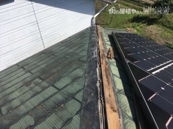 棟板金 飛散 台風被害