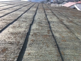 屋根 塗装 重ね葺き 褪色 カビ