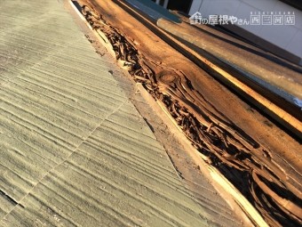 棟板金交換 腐食 人工木
