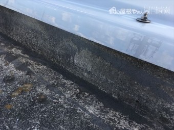陸屋根 防水 点検