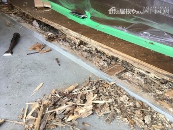 シロアリ被害 上り框交換