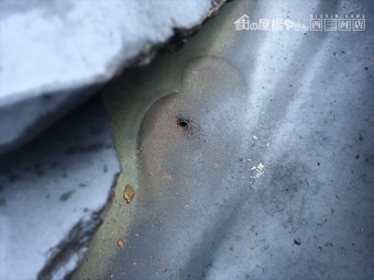 瓦屋根の点検