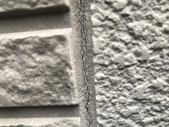 IMG_8274-columns2