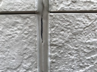 IMG_8844-columns2