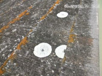 カラーベスト劣化