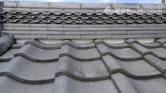 S__12836899-columns2-overlay