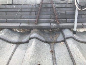 瓦屋根