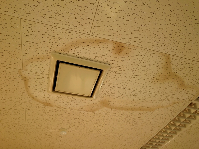 豊田市の天井からの雨漏り