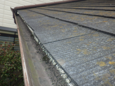 褪色　コケ・カビの付着　塗膜の剥離　スレート屋根　点検