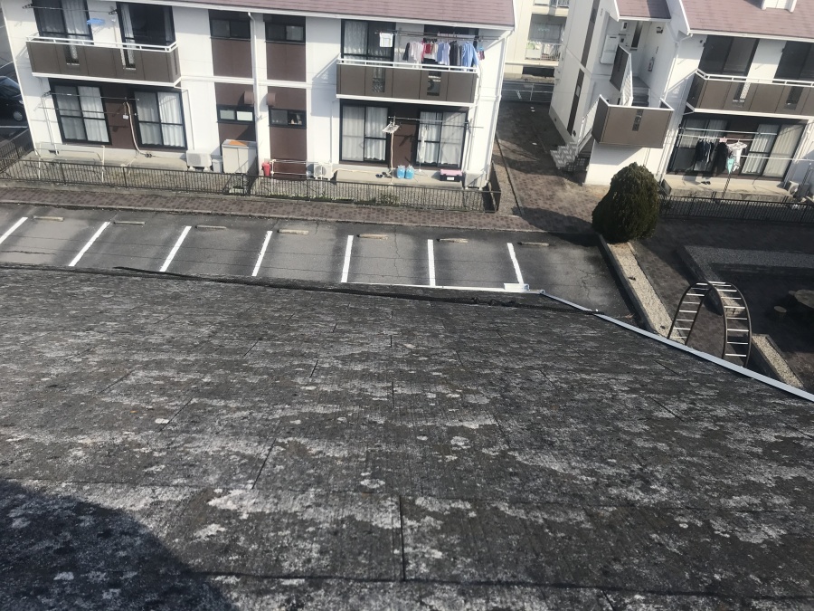 岡崎市で劣化により塗膜が剥離してきたスレート屋根点検