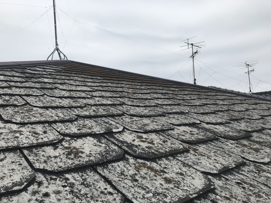 豊田市で経年の劣化によって塗膜が剥離してしまったスレート屋根