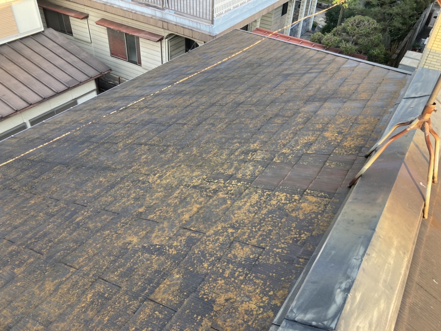 豊田市にて苔が繁殖してしまったスレート屋根の点検を実施