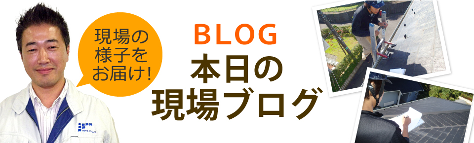 豊田・岡崎・刈谷・知立・安城市やその周辺エリア、その他地域のブログ