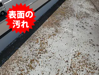 屋上屋根の表面に多数の汚れ
