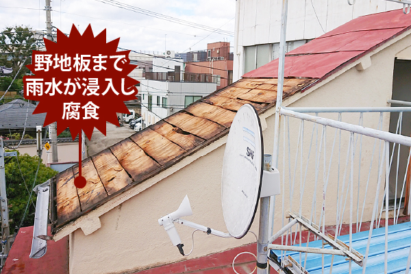 野地板まで雨水が侵入して腐食